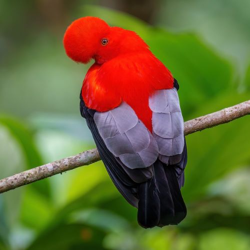 San Juan Esencial – Cultura y Naturaleza (3D y 2N) - Imagen 4